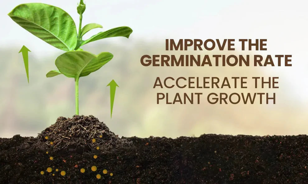 🌱 Soil Activator – The Natural Boost Your Plants Deserve