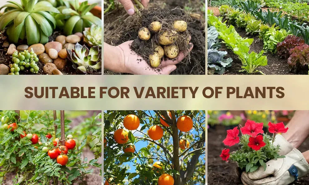 🌱 Soil Activator – The Natural Boost Your Plants Deserve