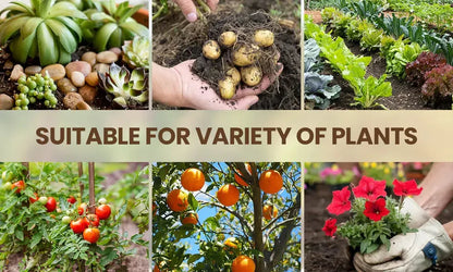 🌱 Soil Activator – The Natural Boost Your Plants Deserve